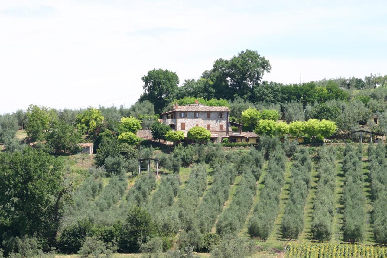 Agriturismo Oliveto Di Geltrude Contessa Amelia Extérieur photo